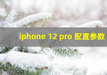 iphone 12 pro 配置参数